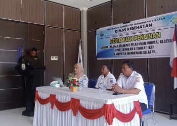 Dinas Kesehatan Tatap Muka dengan Puskesmas Dalam Rangka Pengisian E-SPM