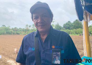 Bulog Siap Serap Hasil Tanaman Jagung Petani Tapi Harga Harus Sesuai dan Kualitas Bagus