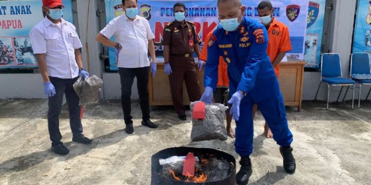 Ditpolair Polda Papua Musnahkan 6,1 Kilogram Ganja Asal PNG
