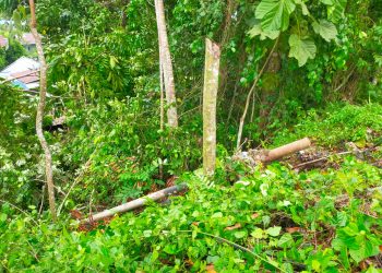 Tiang Listrik dan Lampu Jalan di Sowi Gunung Tumbang Diterjang Angin Kencang