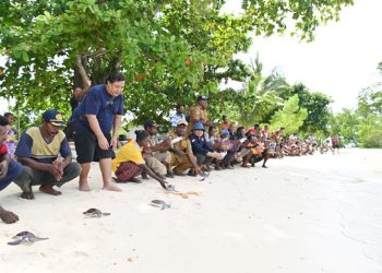 Dedikasi PIBATA Lestarikan Penyu di Taman Nasional Teluk Cendrawasih