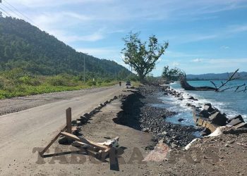 Jalan Nyaris Terputus Akibat Abrasi