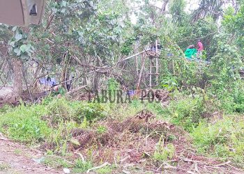 Diduga Ada Lokasi Pencarian Emas di Pesisir Pantai Masni