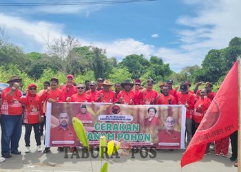 PDI Perjuangan Papua Barat Tanam 1.250 Pohon di Ransiki dan Oransbari