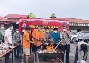 Polresta Sorong Kota Musnahkan 6,5 Kg Ganja