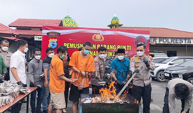 Polresta Sorong Kota Musnahkan 6,5 Kg Ganja