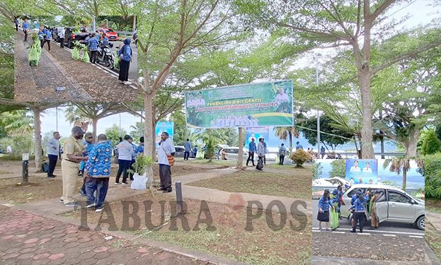 Peringati Hari Rimbawan, Dishut Papua Barat Bagikan 700 Anakan Bibit Tanaman Kepala ASN
