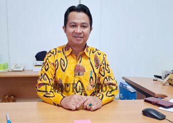 Pemprov Papua Barat akan Bentuk Tim Optimalisasi Potensi Daerah