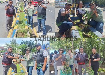 Sambut Hari Rimbawan, Dinas Kehutanan Pabar Bersama KPHL XII Manokwari Tanam dan Bagi Gratis 600 Bibit Pohon