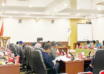 DPR Papua Selatan Soroti Rendahnya Penyerapan Anggaran Dinas Kesehatan