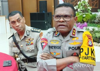 11 Penambang Emas Ilegal Korban KKB Dievakuasi Dalam Keadaan Meninggal