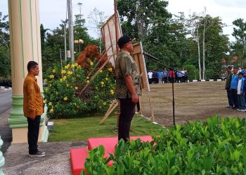 Capaian MCP Teluk Bintuni Tahun 2024 Hanya 19 Persen