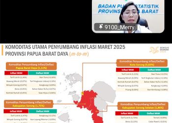 Tarif Listrik Penyumbang Inflasi Pada Maret 2025, Inflasi Manokwari Diangka 2,30 Persen