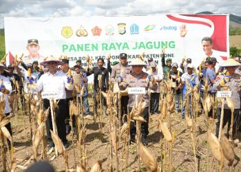 Kapolri-Mentan Panen Raya Jagung di Bone, Dukung Program Ketahanan Pangan Nasional