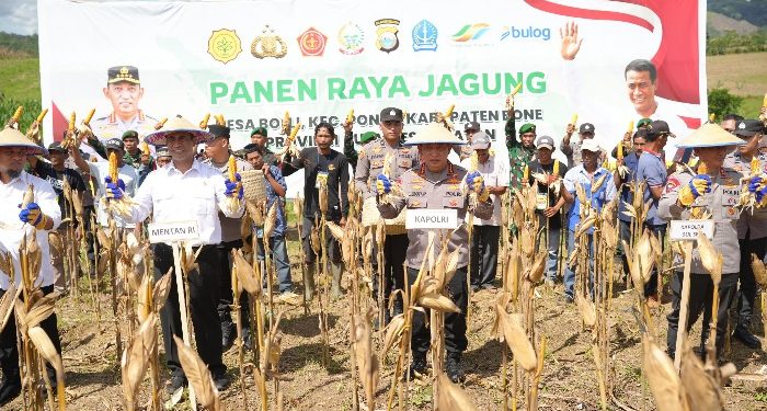 Kapolri-Mentan Panen Raya Jagung di Bone, Dukung Program Ketahanan Pangan Nasional