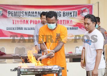 353,99 Gram Ganja Dimusnahkan