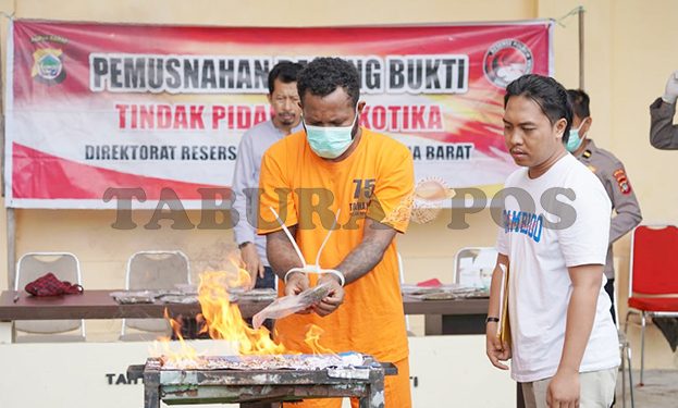 353,99 Gram Ganja Dimusnahkan