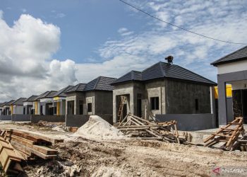 REI Target Bangun 3.000 Rumah Subsidi di Papua Barat-Papua Barat Daya