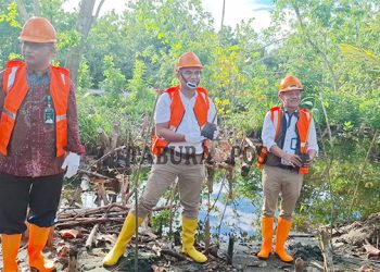 Komite II DPD-RI Menanam Bibit Mangrove di Kampung Wamesa