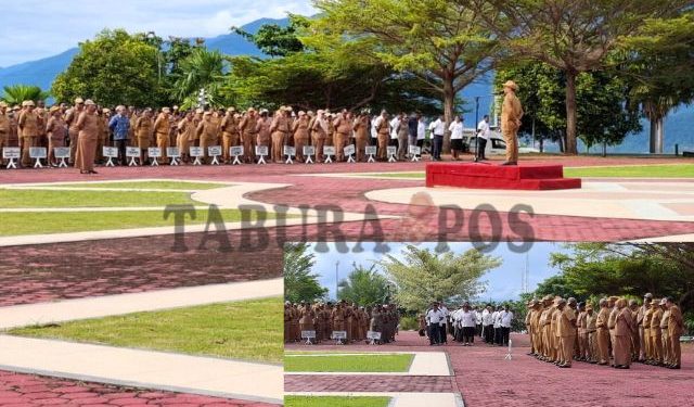 BKD Papua Barat Berikan Tenggat Hingga 9 Mei, Berkas Tak Lengkap Dinyatakan Gugur