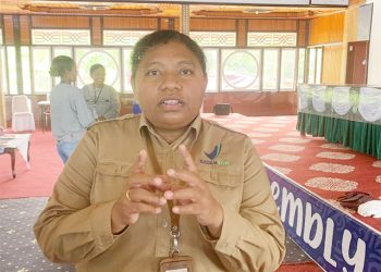 BPOM Keluarkan Izin Edar Minyak Lintah dan Daun Bungkus