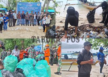 Sisir Pantai di Manokwari, Relawan Memungut 1,7 Ton Sampah Plastik