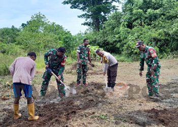 Bhabinkamtibmas Distrik Manokwari Timur Bersama Masyarakat Olah Lahan Pertanian