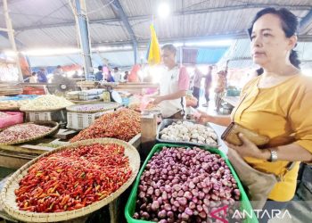 Penyaluran KUR di Papua Barat Capai Rp. 129,93 Miliar per Mei