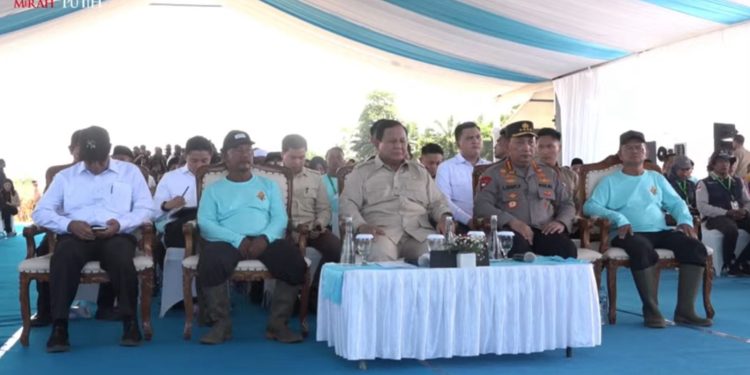 Kapolri Dampingi Presiden pada Panen Raya Jagung Kuartal II, siap wujudkan kedaulatan pangan Nasional