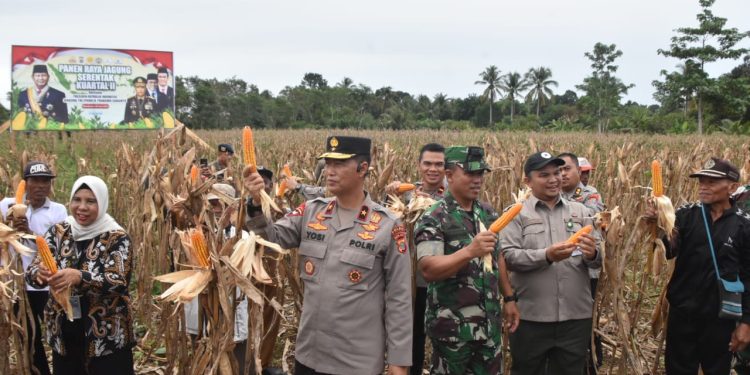 Polda Papua Barat Gelar Panen Raya Jagung Serentak Kuartal II