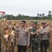 Polda Papua Barat Gelar Panen Raya Jagung Serentak Kuartal II