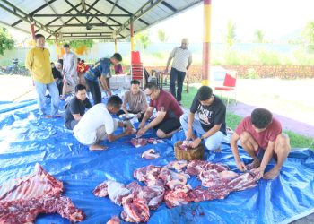 Hari Raya Idul Adha 1446 Hijriah, Polda Papua Barat Sembelih 3 Sapi dan 1 Kambing