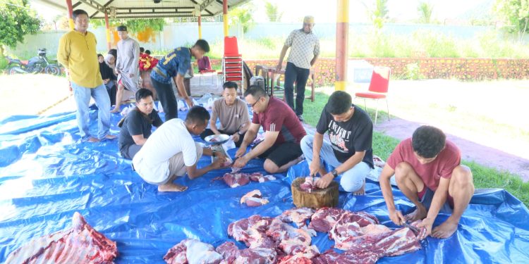 Hari Raya Idul Adha 1446 Hijriah, Polda Papua Barat Sembelih 3 Sapi dan 1 Kambing