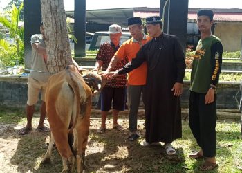 Maknai Iduladha 1446 H, Kapolda Kalteng Sumbang Seekor Sapi untuk Kurban PWI