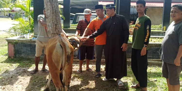 Maknai Iduladha 1446 H, Kapolda Kalteng Sumbang Seekor Sapi untuk Kurban PWI