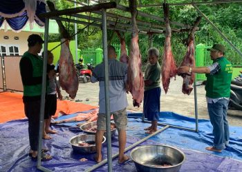 Masjid An-Nur Sembelih 9 Ekor Sapi, Dagingnya Dibagikan ke 540 Warga