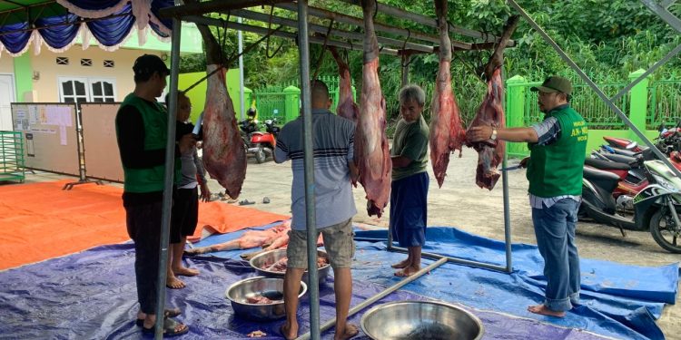 Masjid An-Nur Sembelih 9 Ekor Sapi, Dagingnya Dibagikan ke 540 Warga