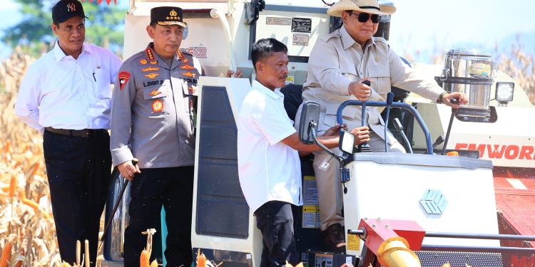Presiden Prabowo Senang Panen Raya Jagung Inisiasi Polri Berhasil