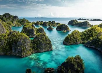 Komitmen Pemerintah Pastikan Tambang Raja Ampat Tak Mengancam Keanekaragaman Hayati