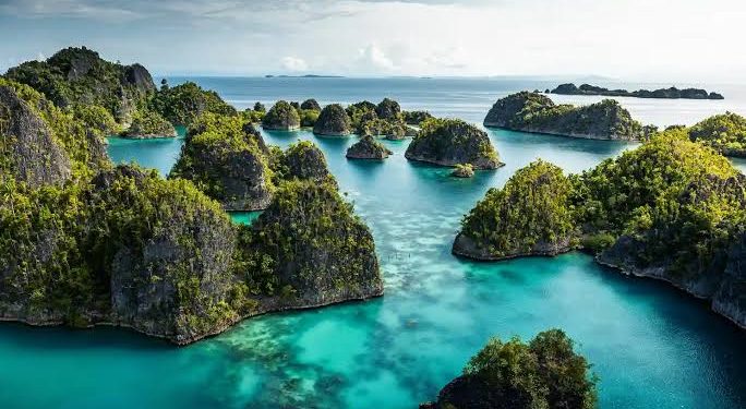 Komitmen Pemerintah Pastikan Tambang Raja Ampat Tak Mengancam Keanekaragaman Hayati