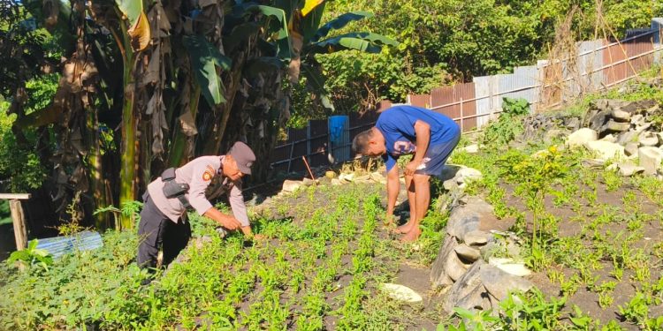 Polsek Kokas Kembangkan Ketahanan Pangan Melalui Program Pekarangan Pangan Lestari