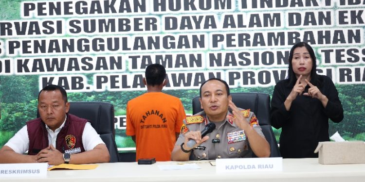 Polda Riau Tangkap Penjual Lahan di Hutan Tesso Nilo