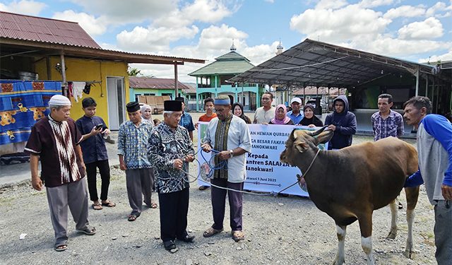 IKBA FKBK Manokwari Sumbang Satu Ekor Sapi Kurban ke Pesantren Salafiyah