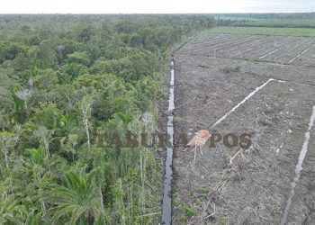 Dari Tapak Mengawal Rencana Revisi UU Kehutanan: Akhiri Pola Pikir Tak Adil Ala Kolonial