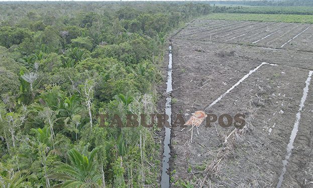 Dari Tapak Mengawal Rencana Revisi UU Kehutanan: Akhiri Pola Pikir Tak Adil Ala Kolonial