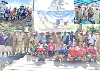Bupati Bernard bersama Forkopimda Tanam Perdana Padi Lahan Kering di Kampung Hamawi