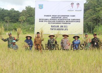 Perkuat Ketahanan Pangan, Pemkab Sorong Panen Padi bersama Poktan Harapan Jaya