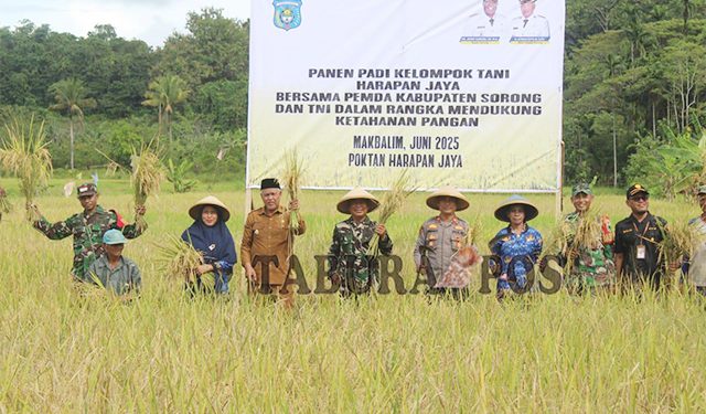Perkuat Ketahanan Pangan, Pemkab Sorong Panen Padi bersama Poktan Harapan Jaya