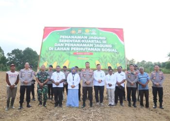 Polda Papua Barat Tanam Jagung Serentak di Kampung Macuan