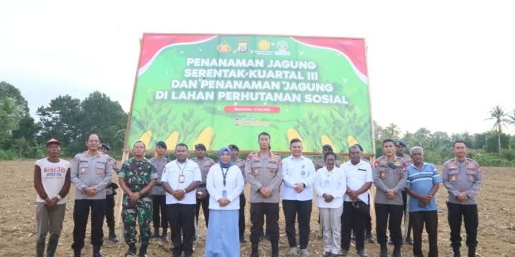 Polda Papua Barat Tanam Jagung Serentak di Kampung Macuan